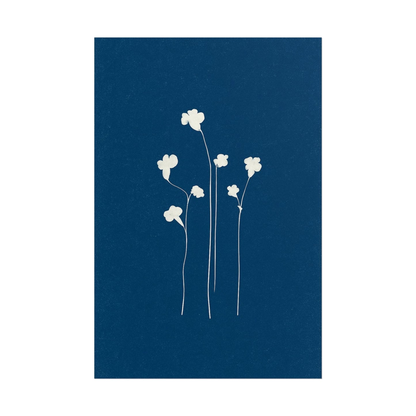 White Clover