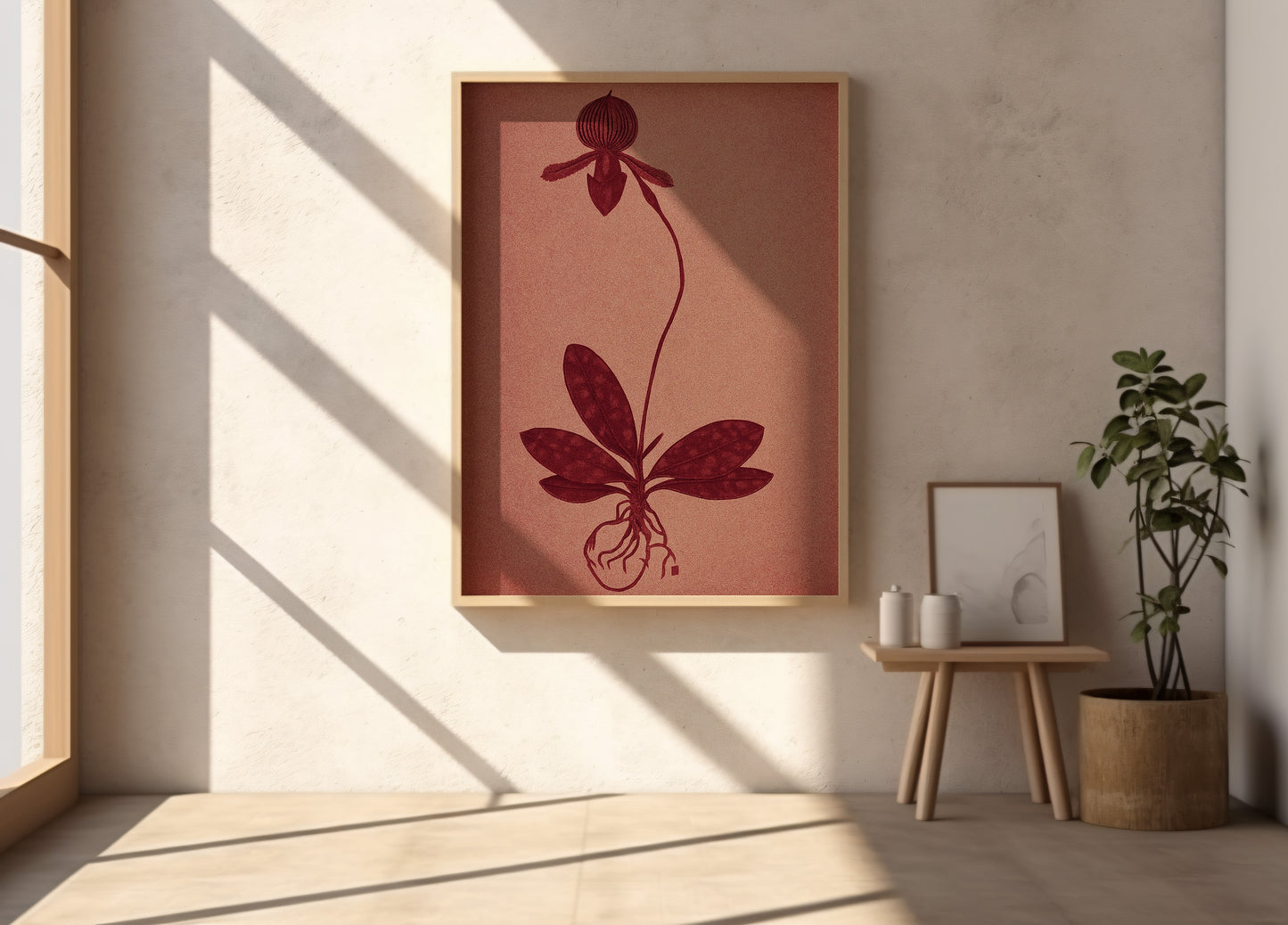 Orchid