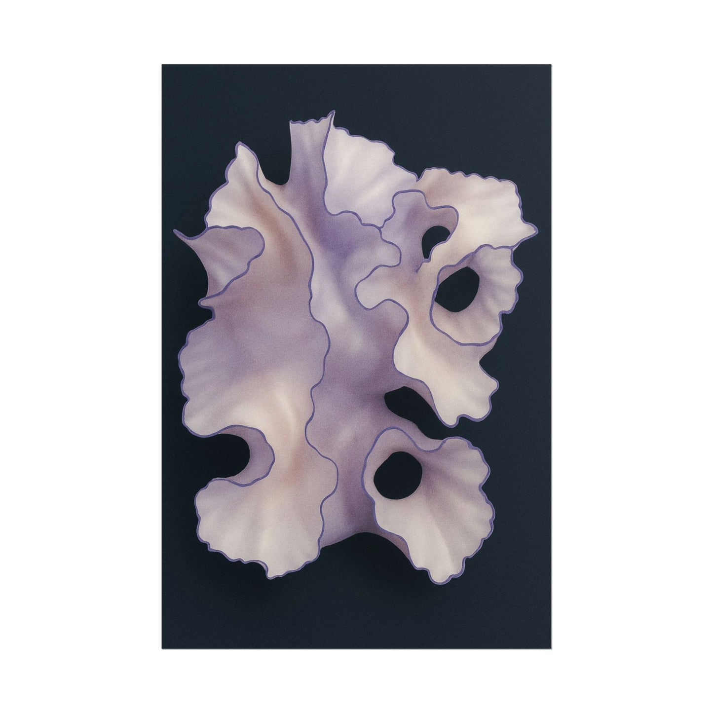 Aurelia