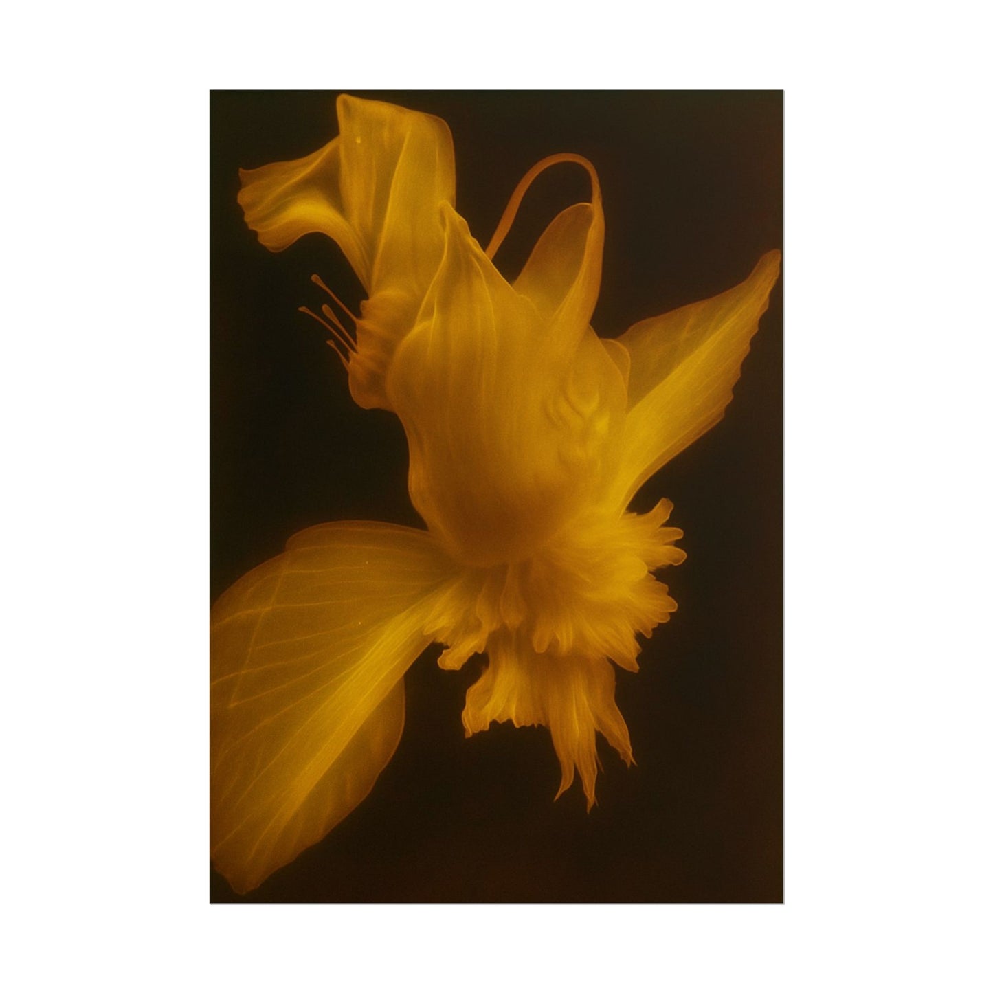 Sun Silk