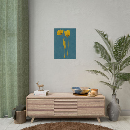 Tulip