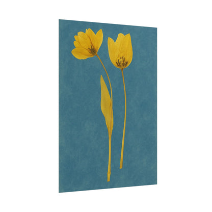 Tulip