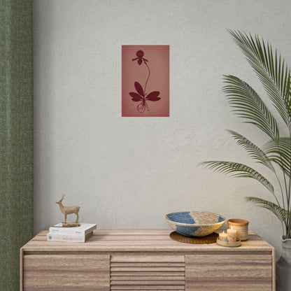 Orchid
