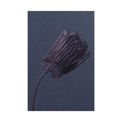 Withered Flower