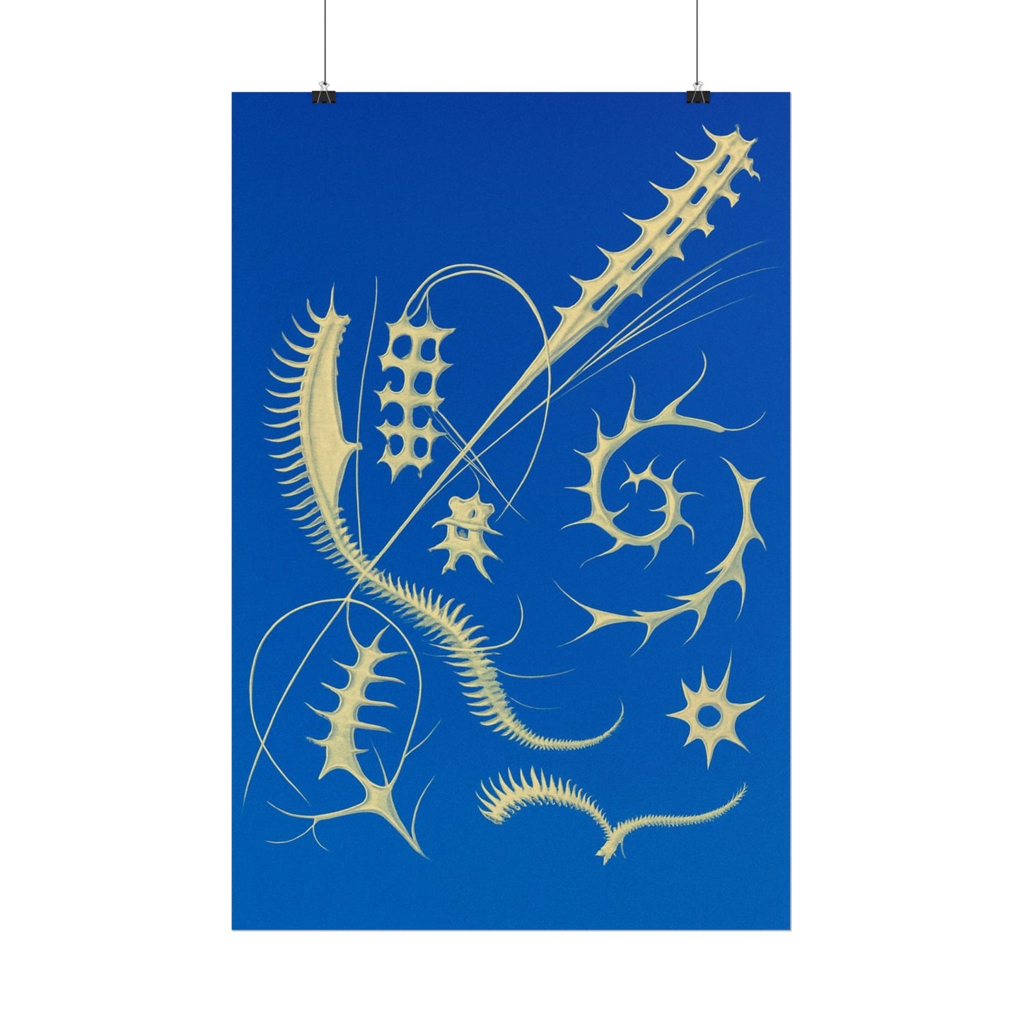 Fossil