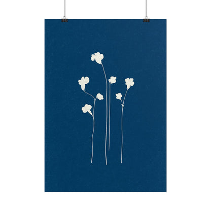White Clover