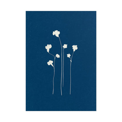 White Clover