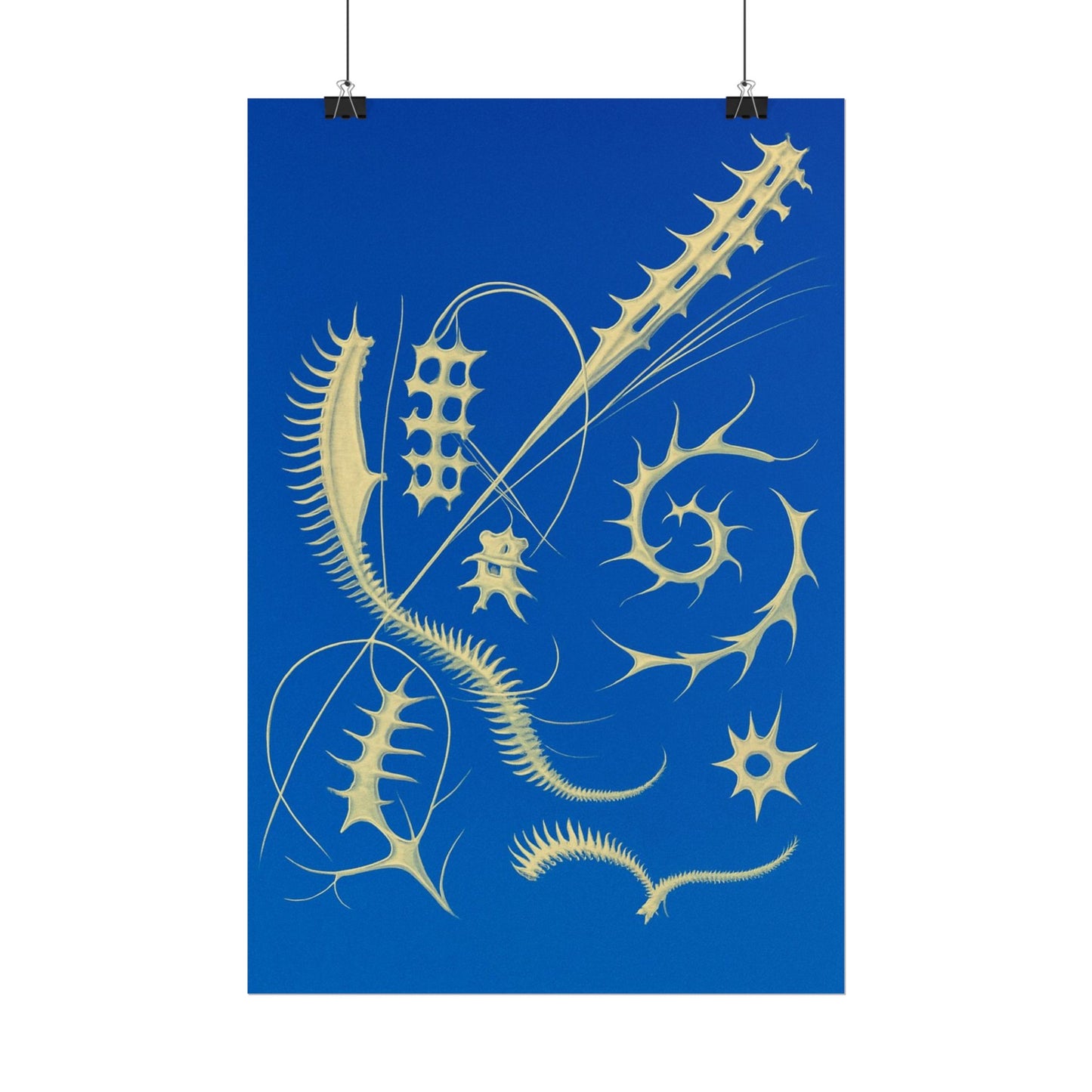 Fossil