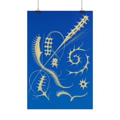 Fossil