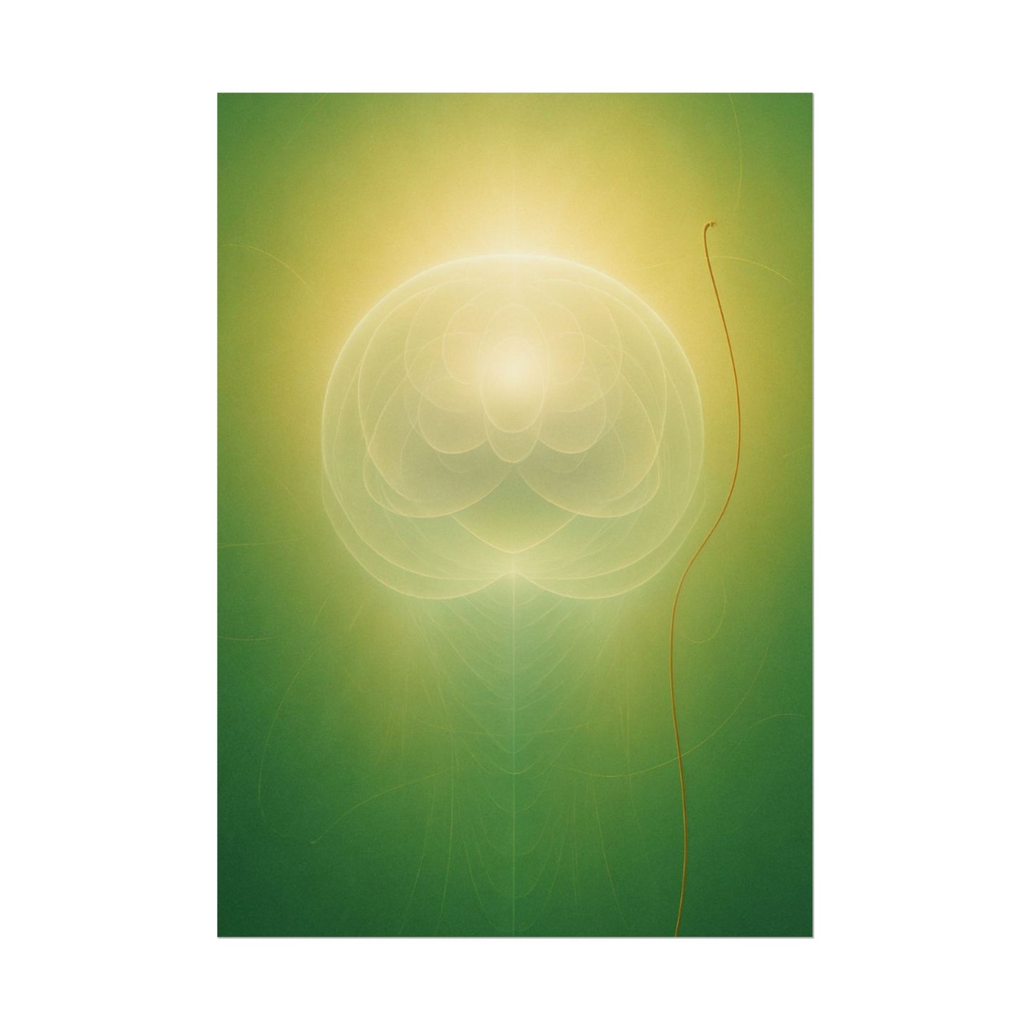 Haloid II