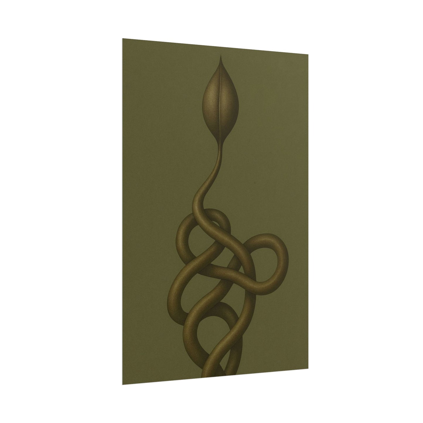Vine