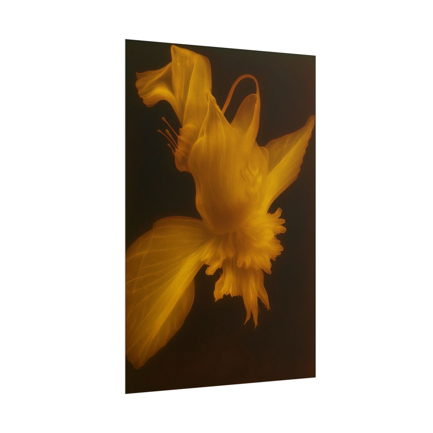 Sun Silk