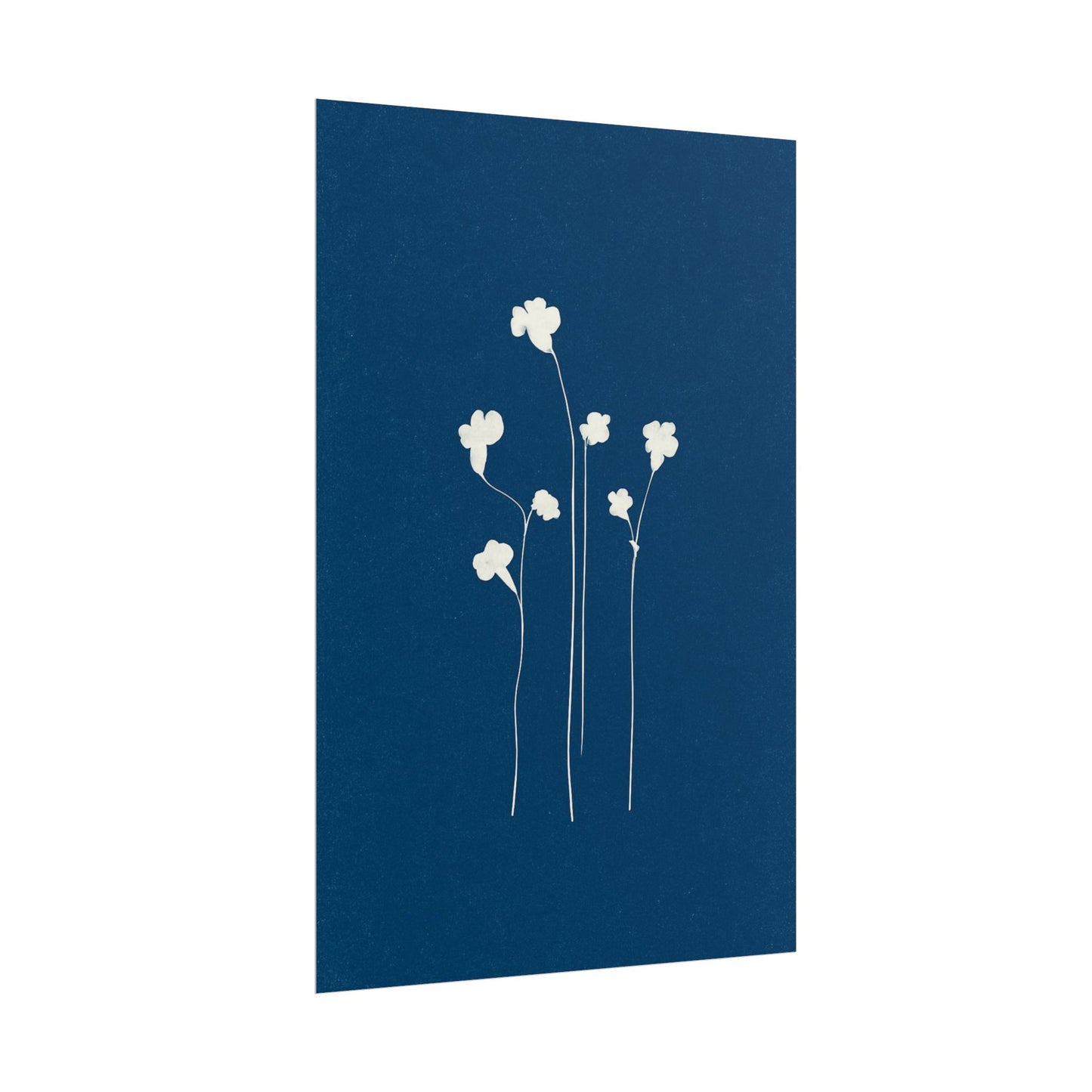White Clover
