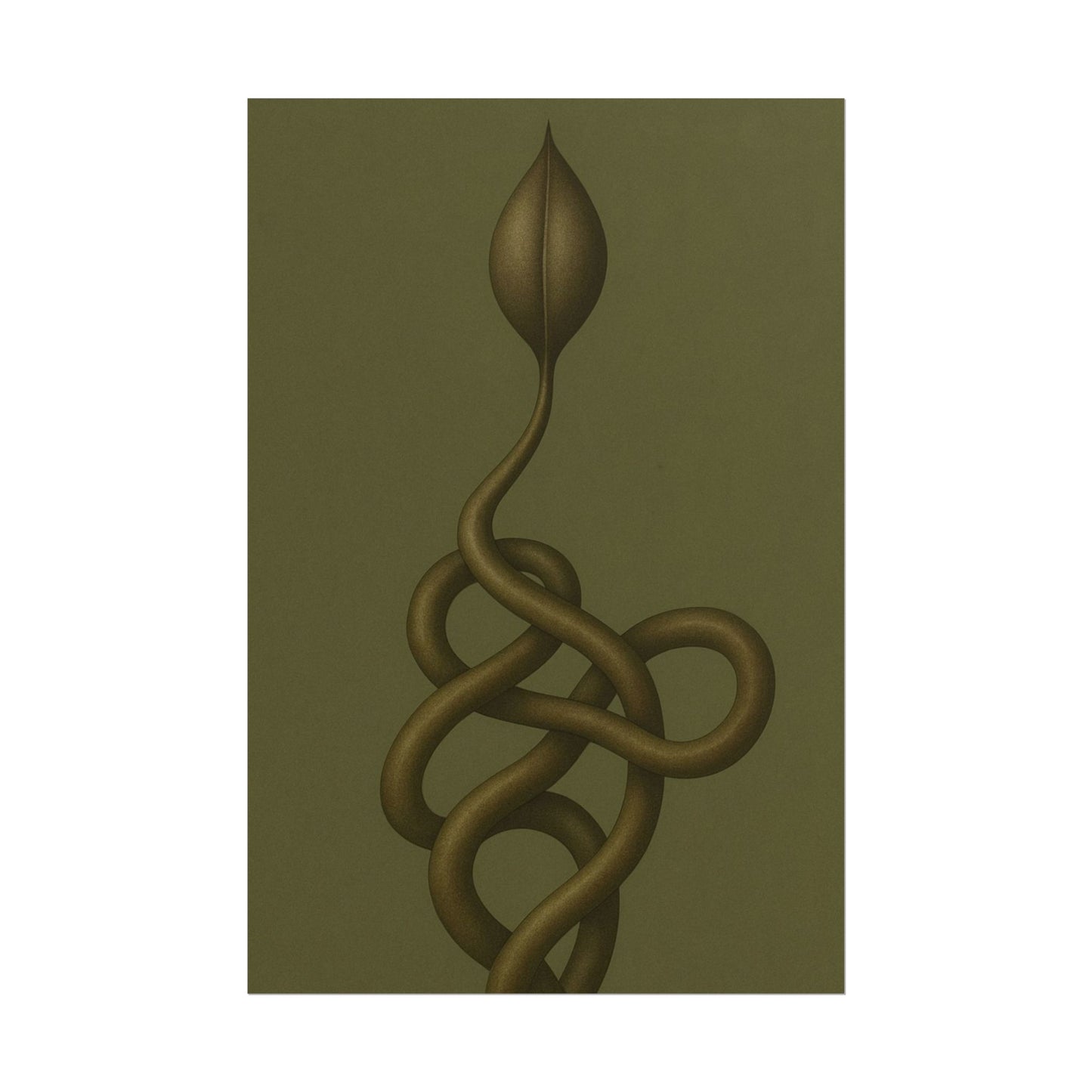Vine