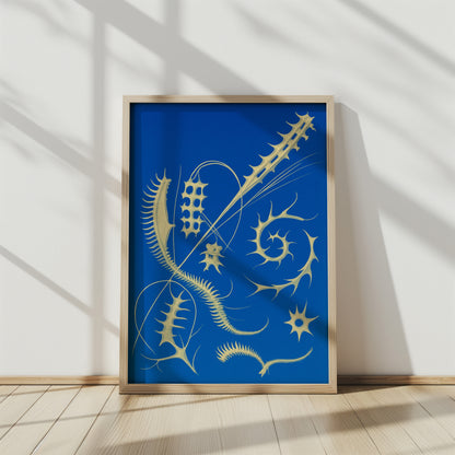 Fossil