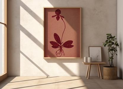 Orchid