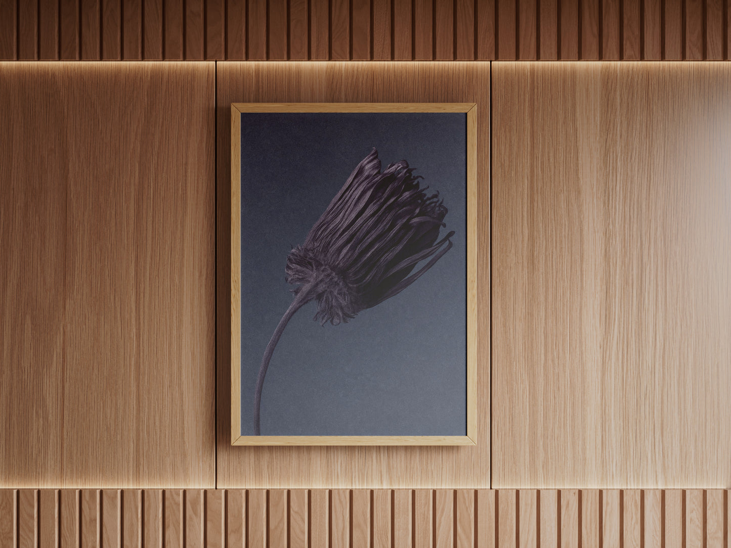Withered Flower