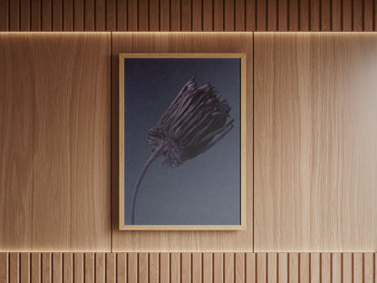 Withered Flower