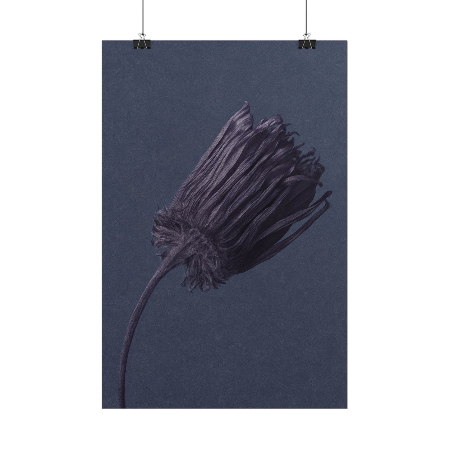 Withered Flower
