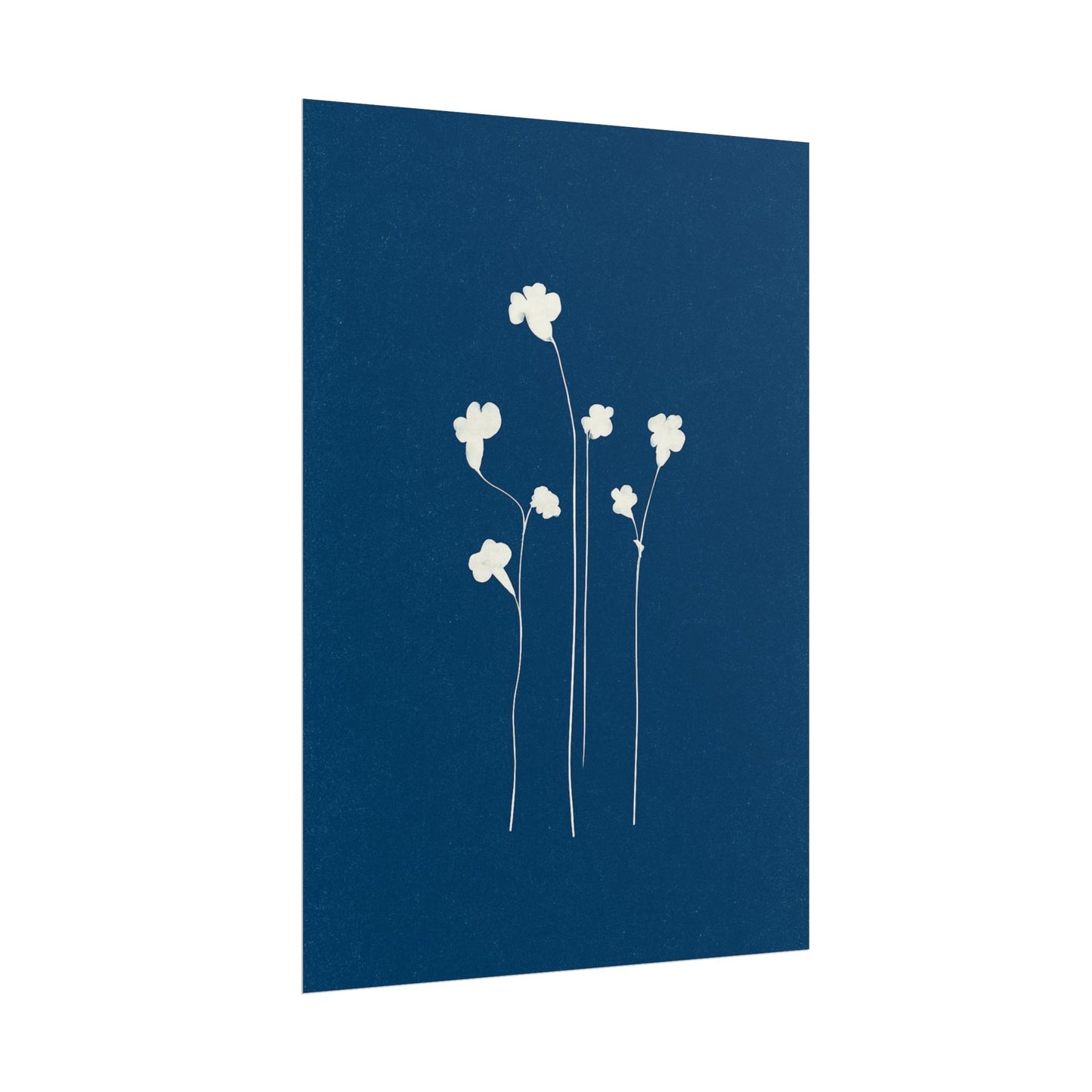White Clover