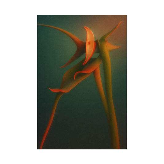 Snakeleaf