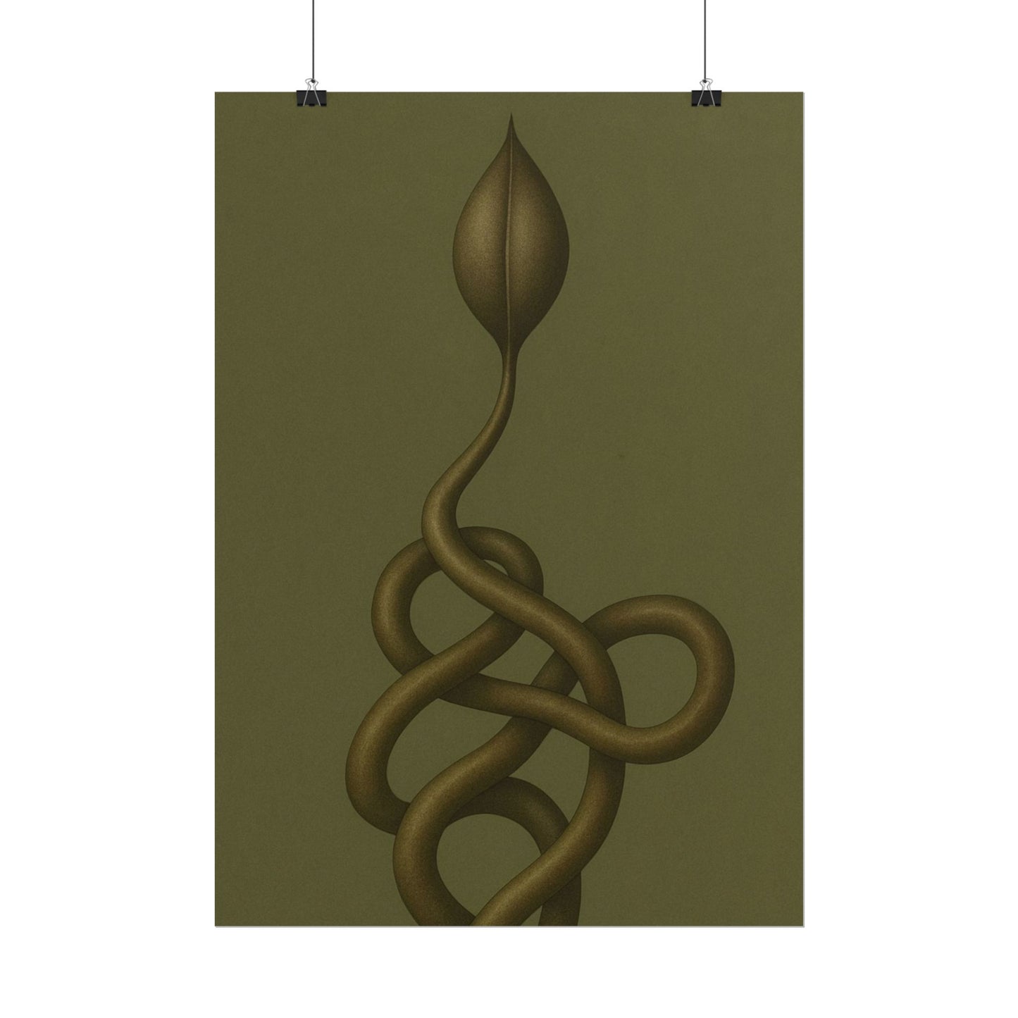 Vine