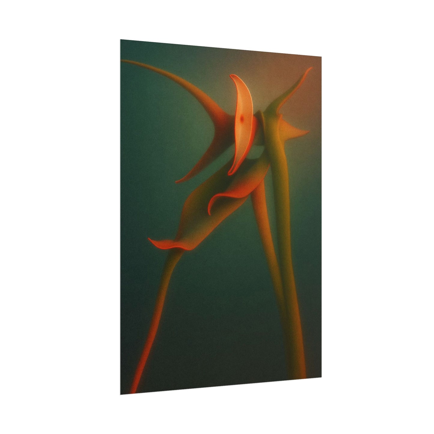 Snakeleaf