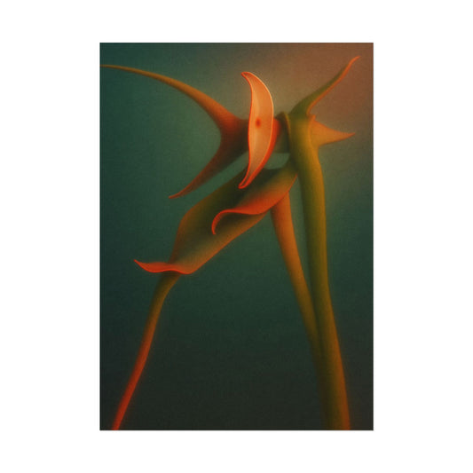 Snakeleaf