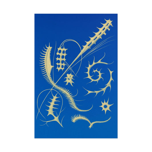 Fossil