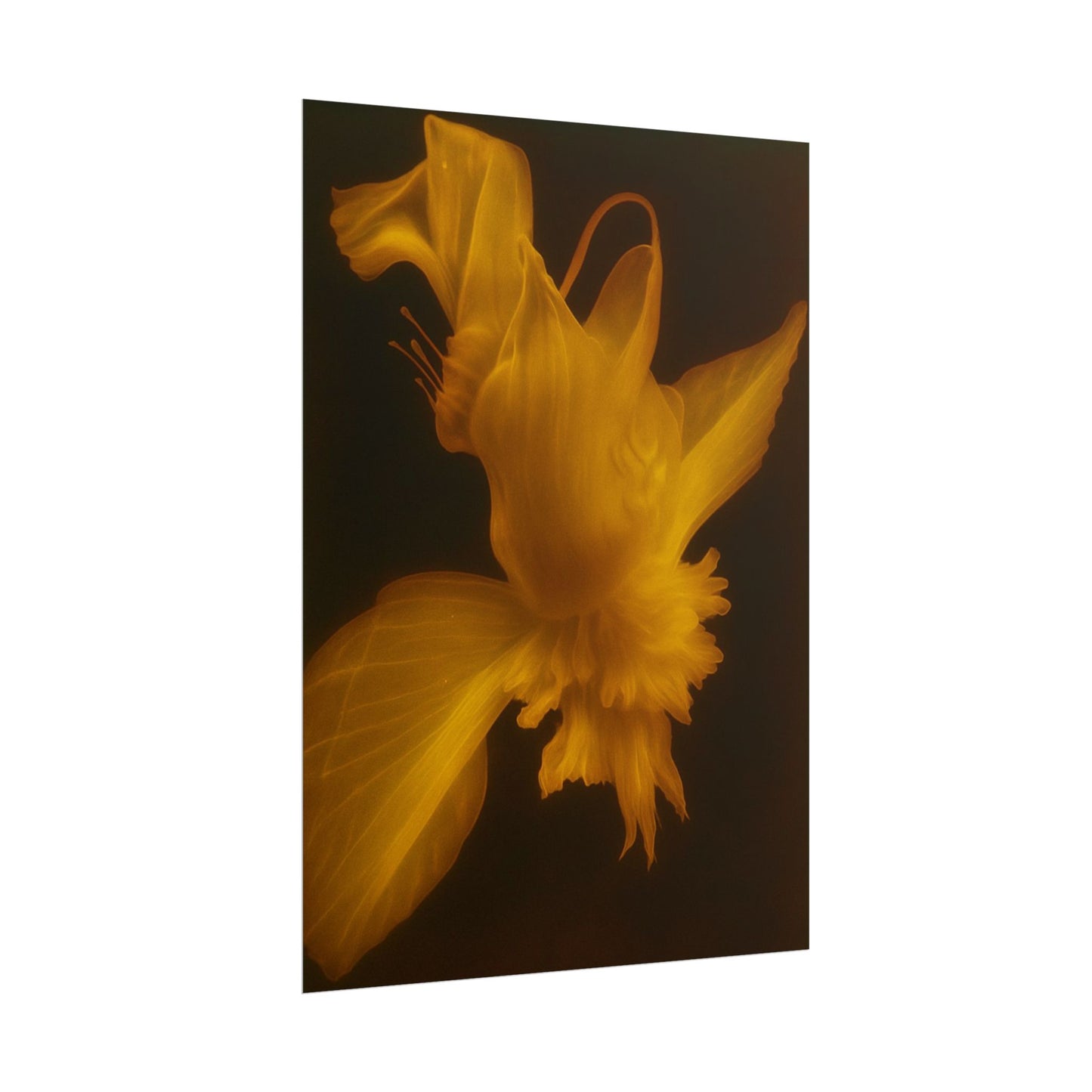 Sun Silk