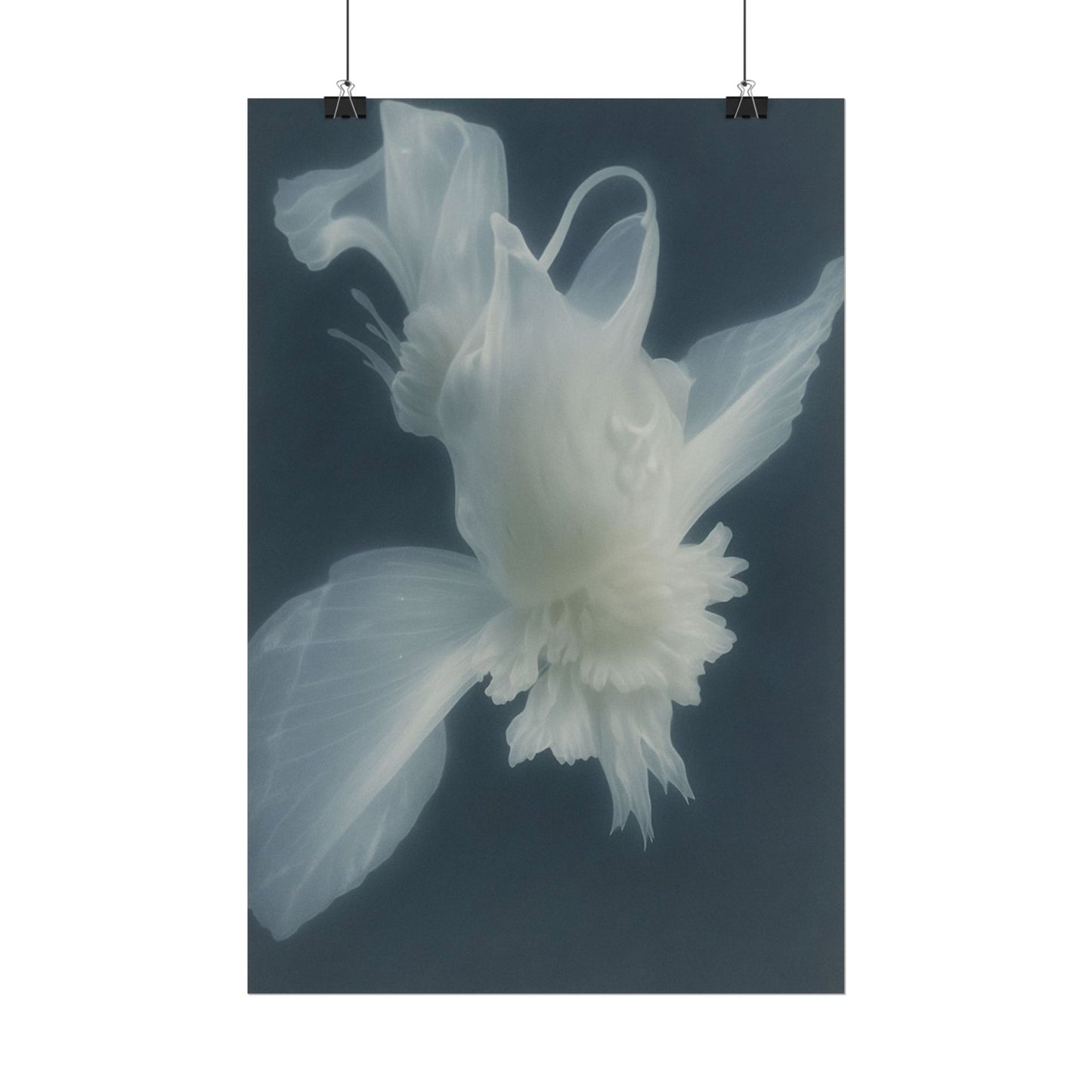 Moon Silk
