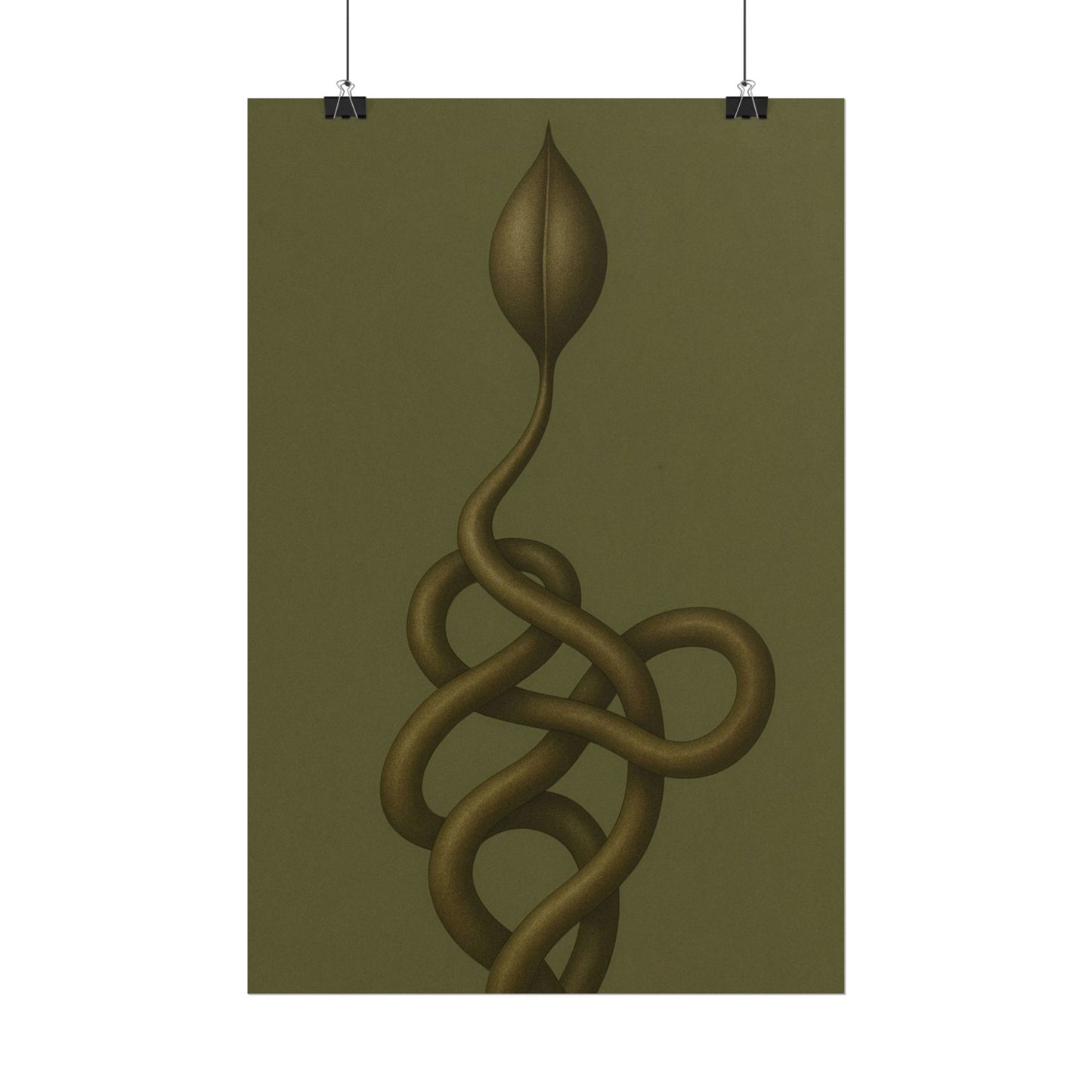 Vine