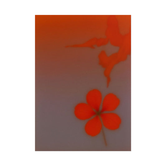 Geranium