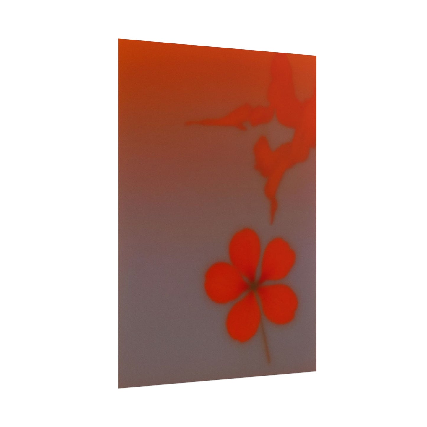 Geranium