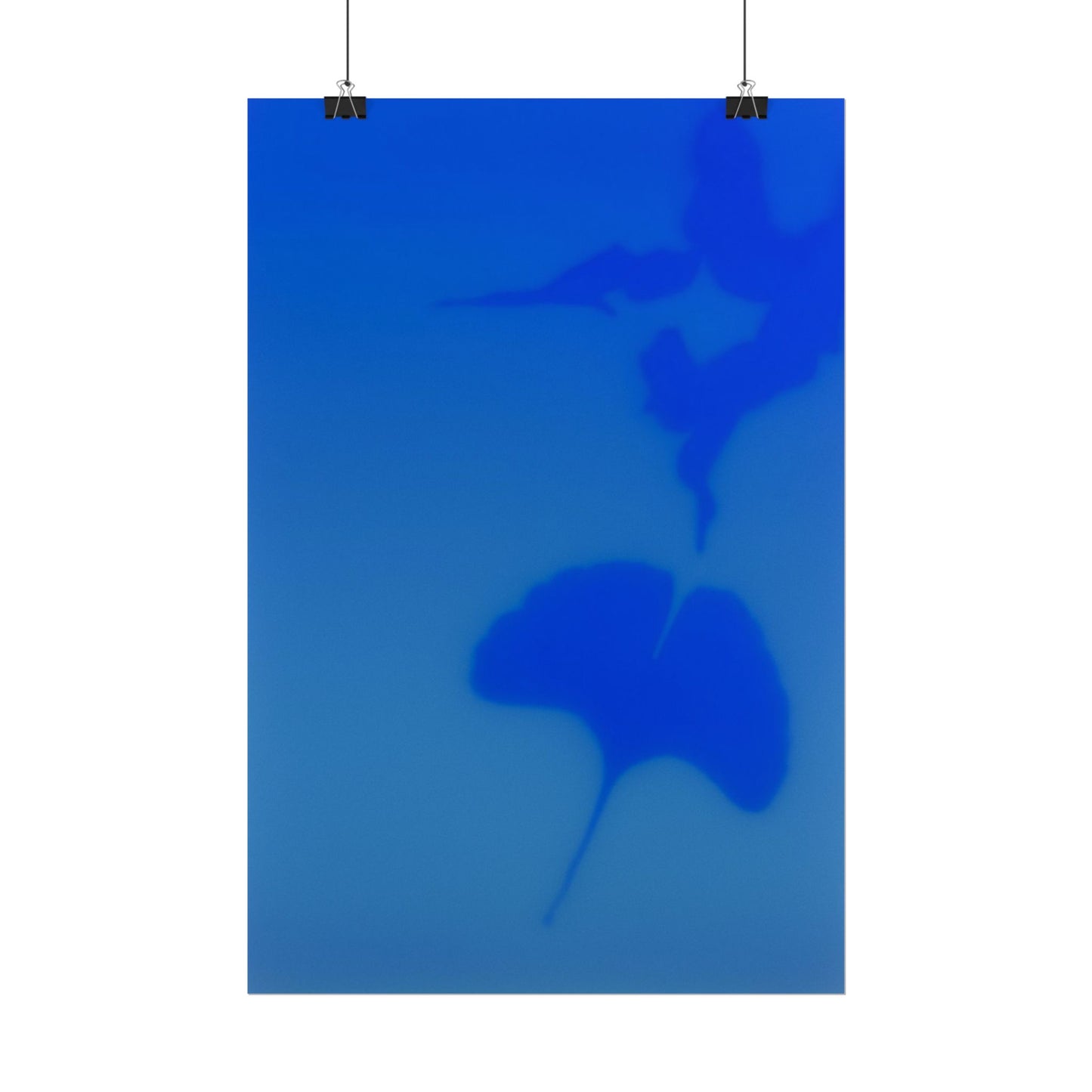 Gingko