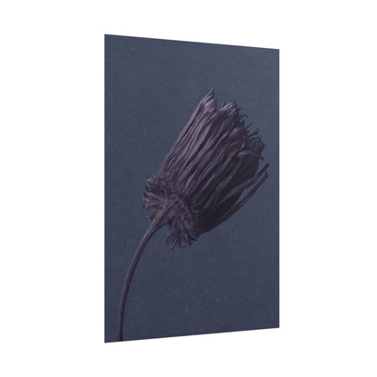 Withered Flower
