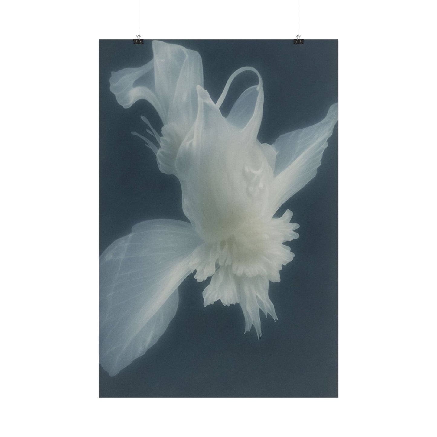 Moon Silk