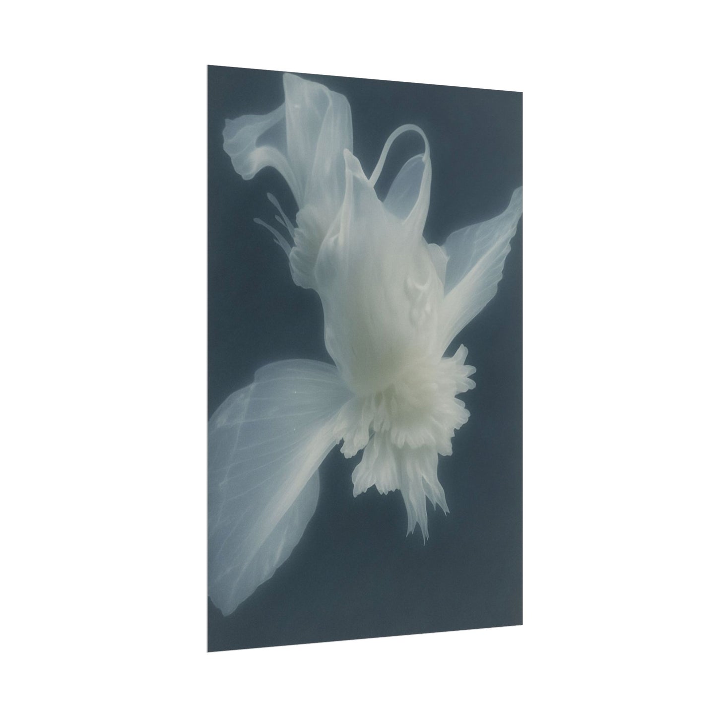 Moon Silk
