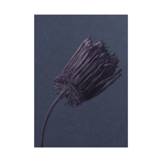 Withered Flower